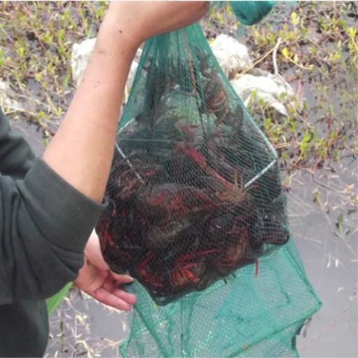 电鱼违法不安全！牛人新研“钓鱼神器”自动吸鱼，中国人太厉害了