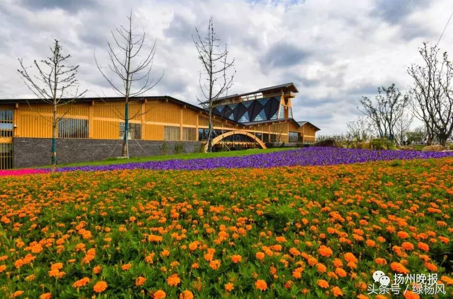 国庆扬州旅游景点推荐,扬州值得去看的景点推荐