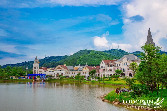 第一次采摘火龙果的体验,高明采摘火龙果