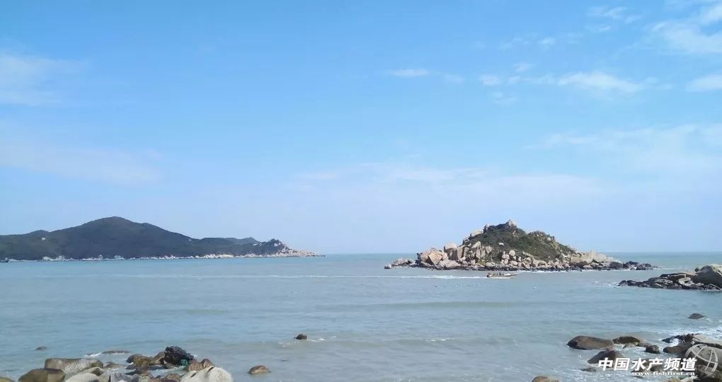 生鱼片哪里最出名,生鱼片排名前十名鱼