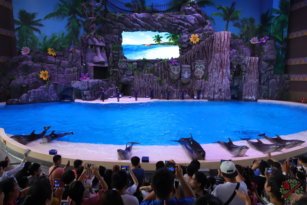 珠海长隆海洋王国企鹅三天两晚,珠海长隆海洋王国企鹅北极熊