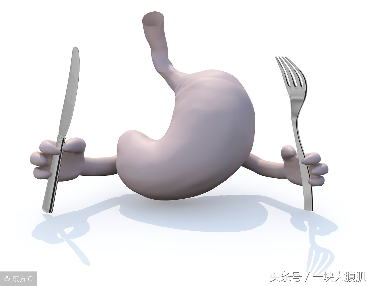 肥人喝什么茶减肥,肥人祛湿