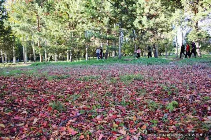 哈尔滨隐藏的景点伏尔加庄园,哈尔滨国庆节去哪里