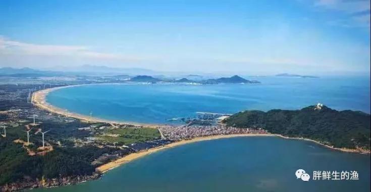 九节虾斑节虾,黑虎虾斑节虾九节虾哪个好吃