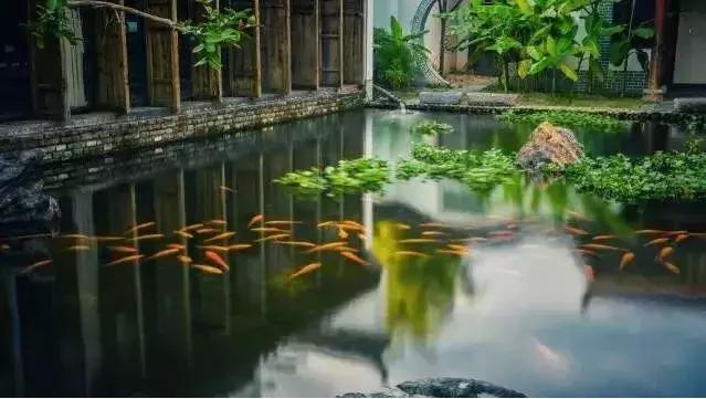 婺源顶级民宿排行榜,婺源最美民宿酒店