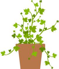 想让孩子远离近视眼科教授来支招,孩子近视了要去医院眼科看看吗