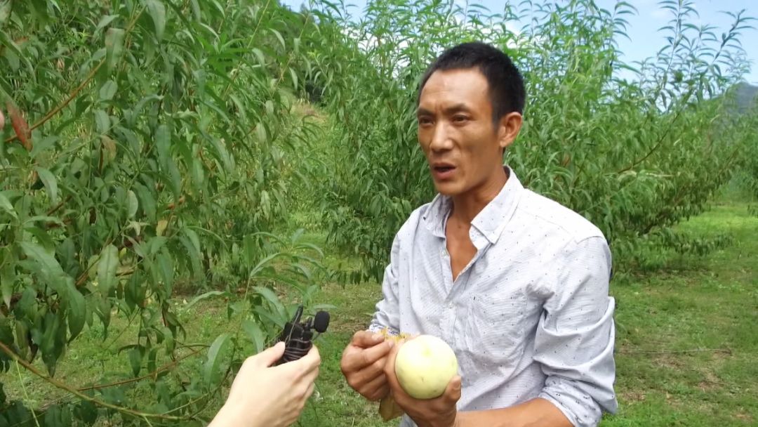 青田旅游必去十大景点,青田旅游攻略必去的景点