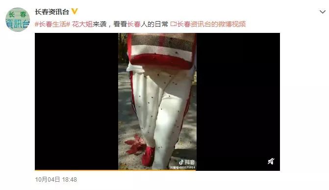 它们竟是“活农药”！一大拨可爱又烦人“花大姐”造访长春