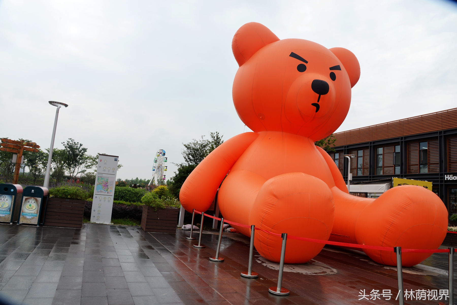上海深度一日游,浦东金桥镇一日游