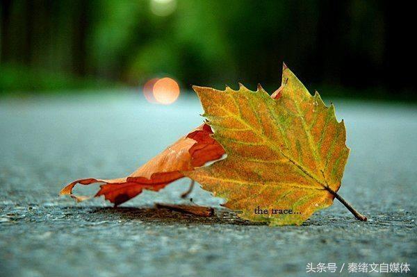 做自媒体没钱做什么生意好,一个人做自媒体能做什么副业