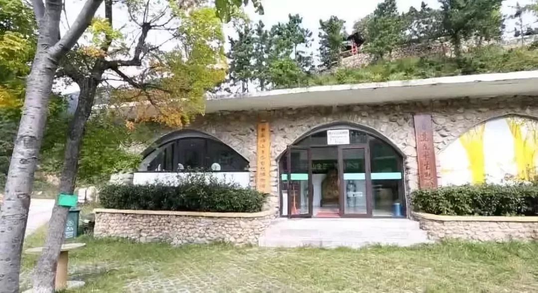 青岛哪个博物馆最值得一去,青岛博物馆最值得去的地方