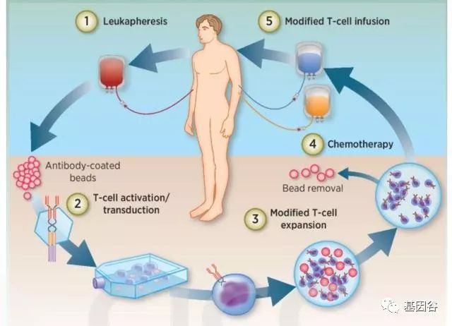 肿瘤流行病学研究报告,肿瘤发病率呈现年轻化趋势