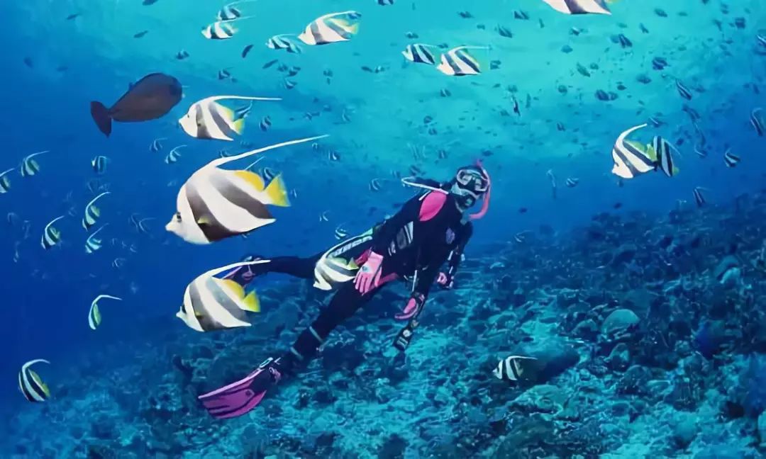 健康始于足下！假期靠这几项运动刷爆朋友圈