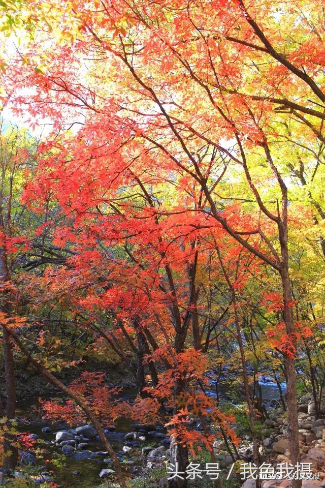 佳能ef35mm1.4l一代,置换佳能5d3