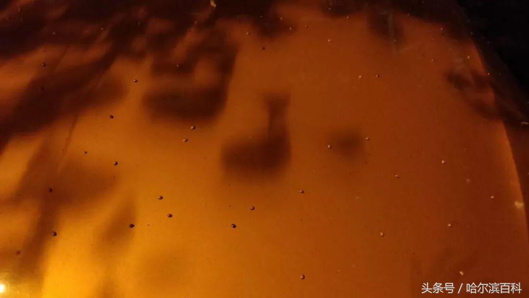 花大姐是外来入侵物种吗,花大姐来东北