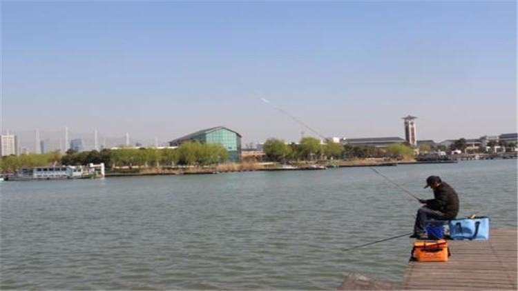 如何做到一顿口就中鱼？从这5点来聊聊