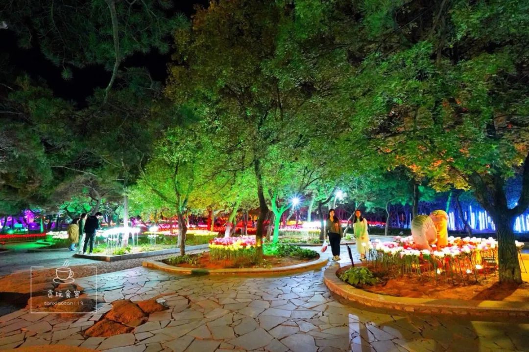 秦皇岛旅游攻略夜景,秦皇岛旅游攻略这几个景点必去