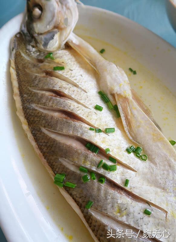 去阳澄湖吃大闸蟹一日游10月份,去阳澄湖吃大闸蟹一日游蟹行天下