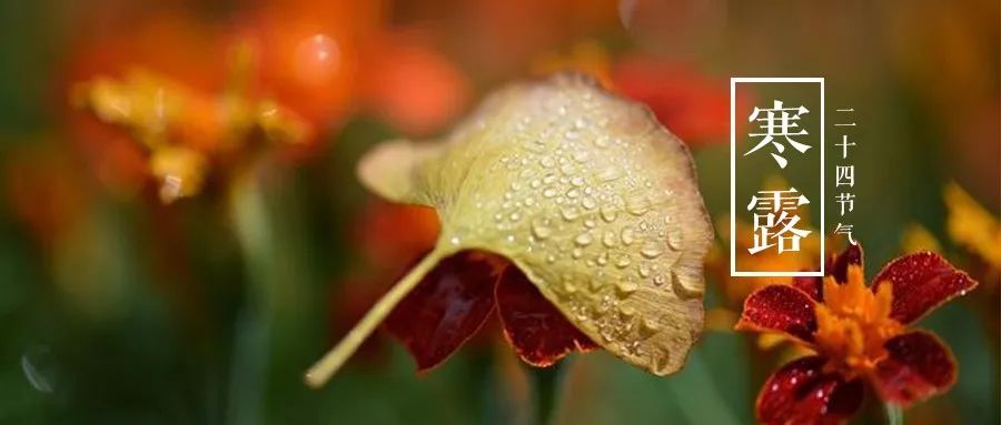 寒露古诗词名句,古诗寒露七言诗句