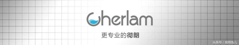 好养又皮实的小型鱼,比较抗活的小型鱼