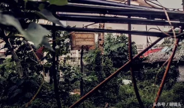 菲律宾“小勒布朗”：艰苦环境培养了我对篮球最纯粹的爱