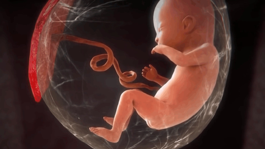 为啥想怀孕的怀不上,为什么想怀孕的时候又怀不上了