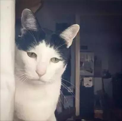 别让别人失望心理学,心理学家告诉你别对别人太好