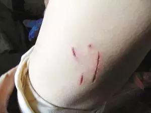 福懋动物医院好不好,福懋动物医院有疫苗打吗