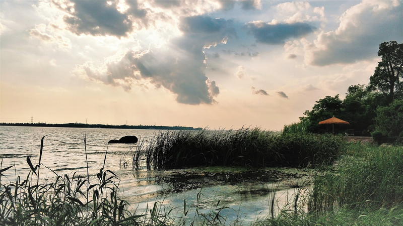 游园赏花品美食,游园赏景快乐游玩