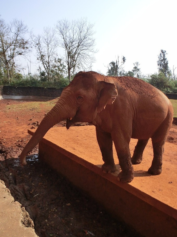 全家人三亚旅游,全家人游海南三亚旅行照片