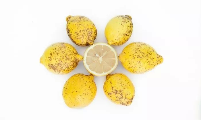 好看的都被你们吃掉了,让这些长得丑的怎么办?