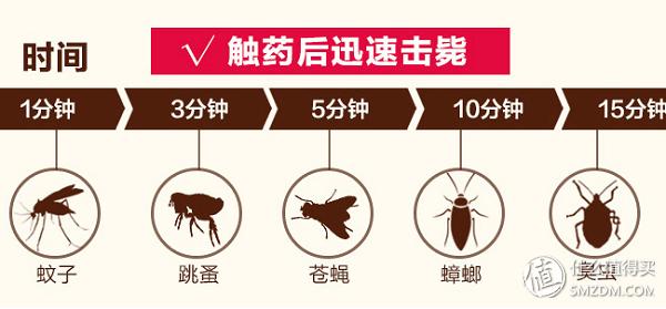 去除蟑螂等害虫的小妙招,小强虫子出现后怎样消灭