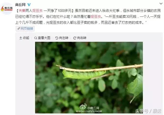 身价暴涨一倍,农村人身价暴涨