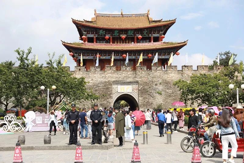 大理市社会治安严打,大理市治安情况