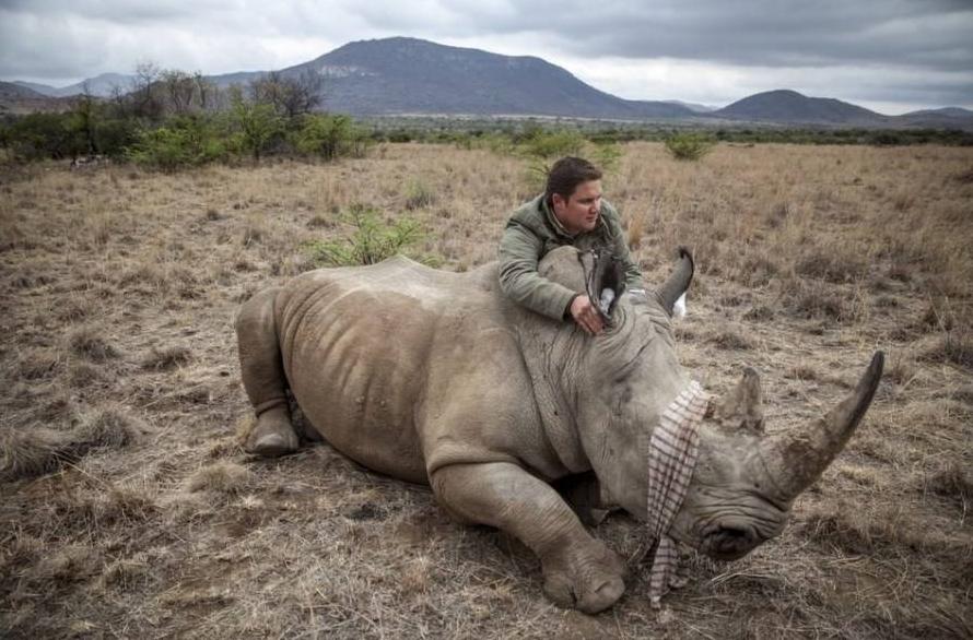 无人机助力现代化农业,植保无人机助力病虫害治疗