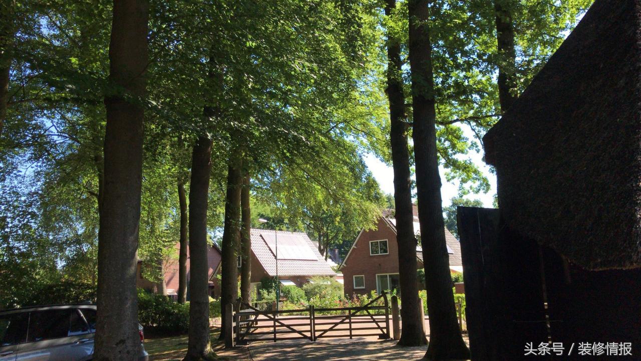 荷兰人的室内装修,荷兰人装修