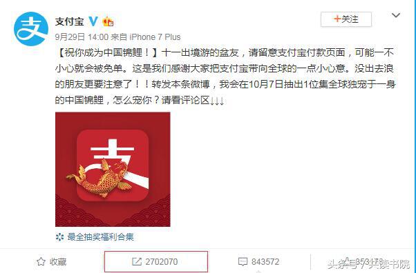 300w的锦鲤,300w锦鲤