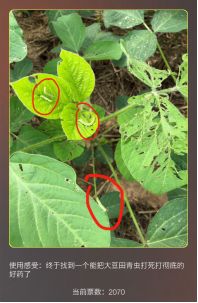 傲敌活动获奖名单公布