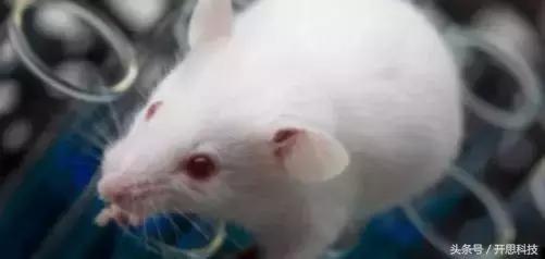 到底是不是智商税用了就知道,究竟是智商税还是真香