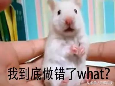 到底是不是智商税用了就知道,究竟是智商税还是真香