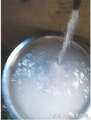 猪胀气，就该用这些方法处理！很全面！