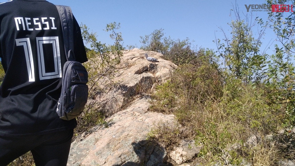 轻巧小背包,容量大且小巧轻便的背包