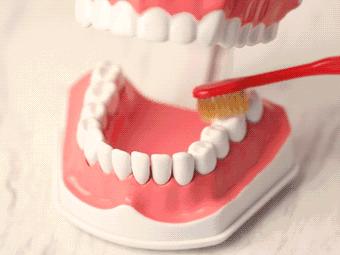 我才20多岁牙齿就松动厉害,四十多岁牙就松动得厉害怎么办