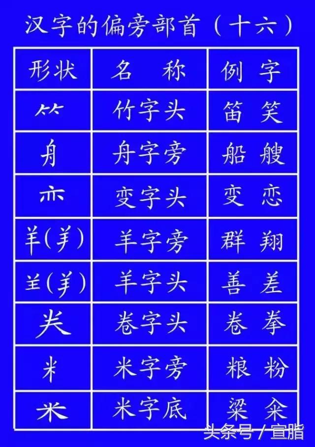 权威专家教你正确的汉字笔顺技巧,专家揭秘汉字正确的笔顺技巧