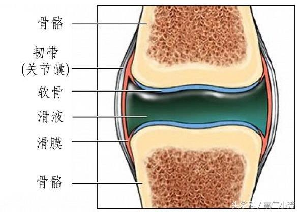 有了滑膜炎，能延长膝关节寿命的，不是吃药，而是这3个动作