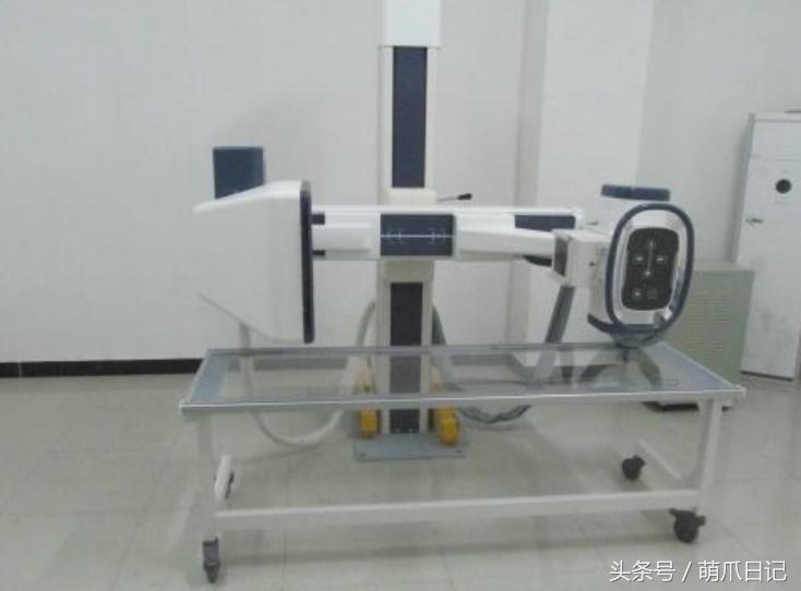 去宠物医院看病为什么这么贵,一般的宠物医院看病贵吗