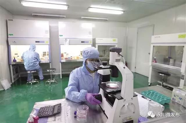 重庆永川最新活动,永川哪里有活动