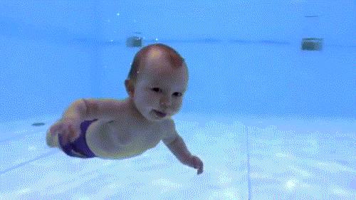 从猿进化到人的原因,从猿进化成人类的原因是什么