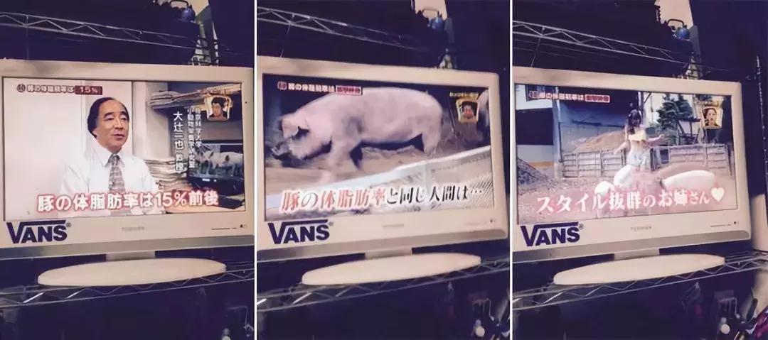 从猿进化到人的原因,从猿进化成人类的原因是什么