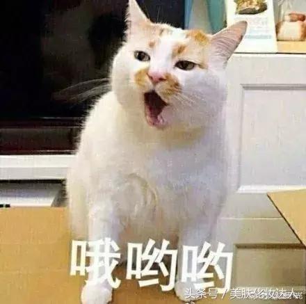 LAMER竟然也出气垫了啊！CPB还远吗？